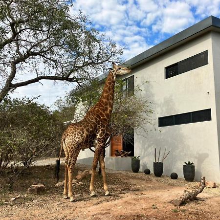 Birdsong Kruger Βίλα Marloth Park Εξωτερικό φωτογραφία