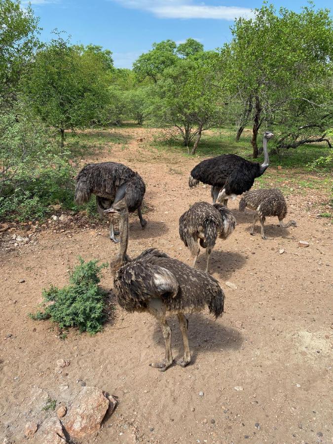 Birdsong Kruger Βίλα Marloth Park Εξωτερικό φωτογραφία