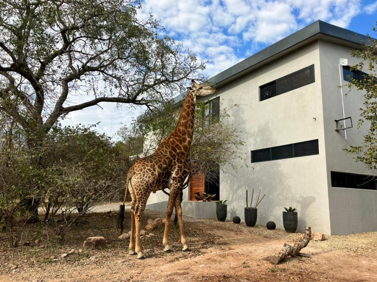 Birdsong Kruger Βίλα Marloth Park Εξωτερικό φωτογραφία